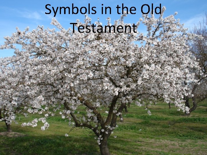 Symbols in the Old Testament 