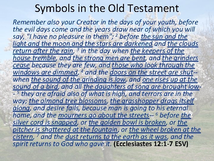 Symbols in the Old Testament Remember also your Creator in the days of your