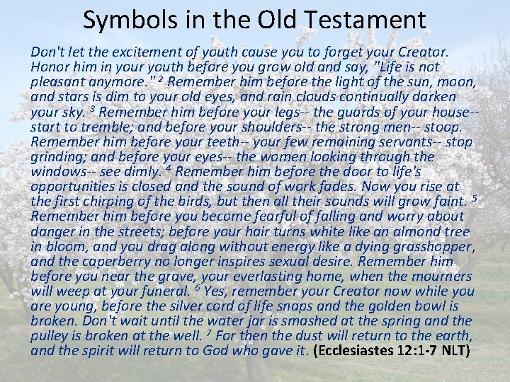 Symbols in the Old Testament Don't let the excitement of youth cause you to