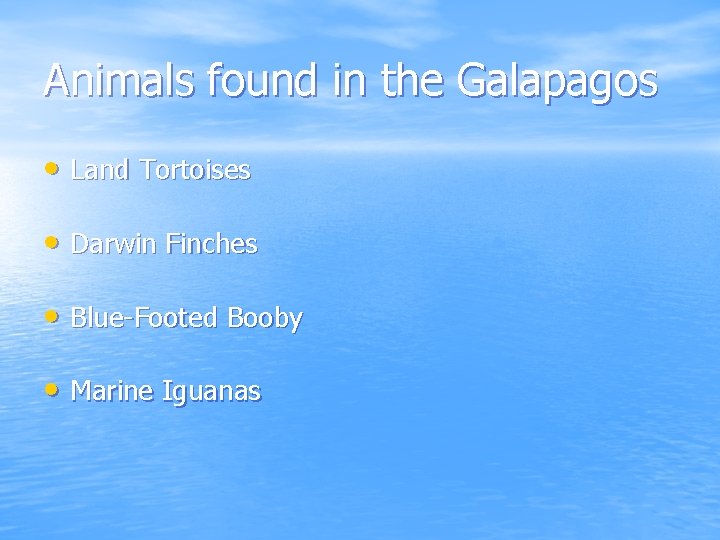 Animals found in the Galapagos • Land Tortoises • Darwin Finches • Blue-Footed Booby