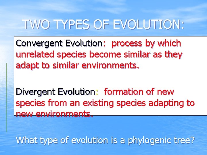 TWO TYPES OF EVOLUTION: Convergent Evolution: process by which unrelated species become similar as