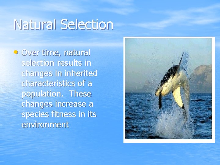 Natural Selection • Over time, natural selection results in changes in inherited characteristics of