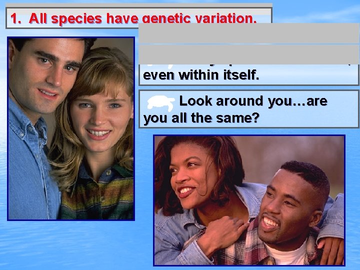 1. All species have genetic variation. Every species is different, even within itself. Look