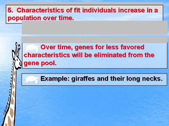 5. Characteristics of fit individuals increase in a population over time. Over time, genes