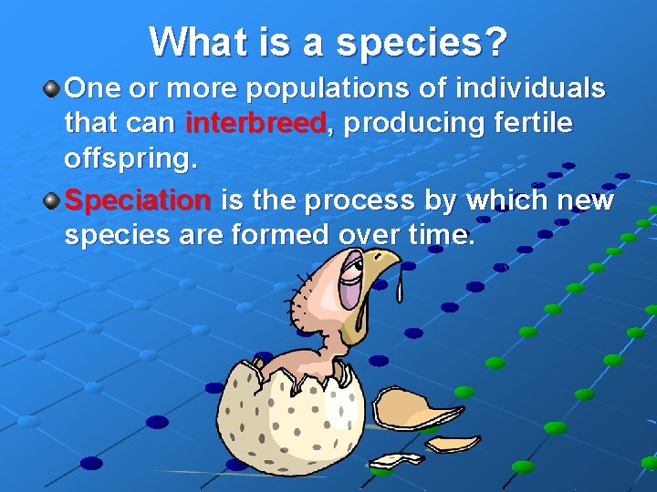 What is a species? One or more populations of individuals that can interbreed, producing