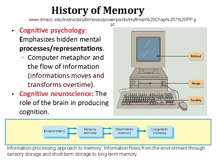 History of Memory www. dmacc. edu/instructors/blmoses/powerpoints/Huffman%20 Chap%207%20 PP. p pt • • Cognitive psychology: