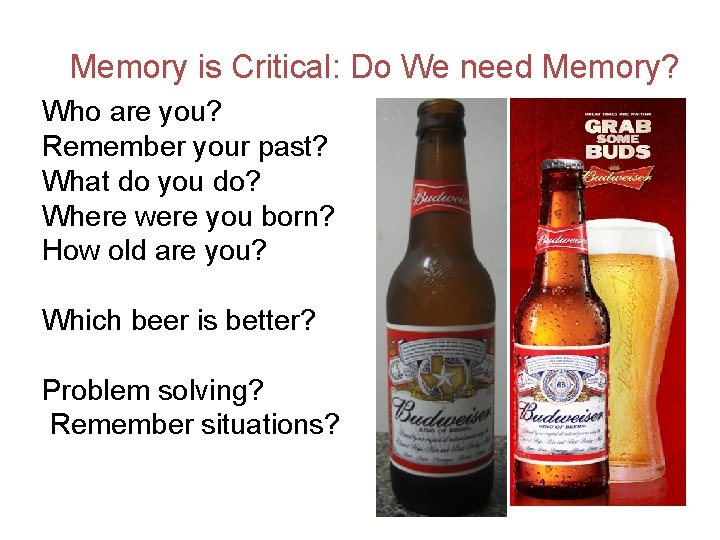 Memory is Critical: Do We need Memory? Who are you? Remember your past? What