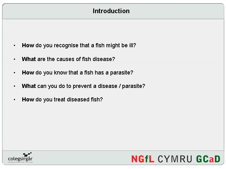 Introduction • How do you recognise that a fish might be ill? • What