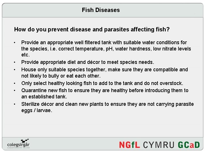 Fish Diseases How do you prevent disease and parasites affecting fish? • • •