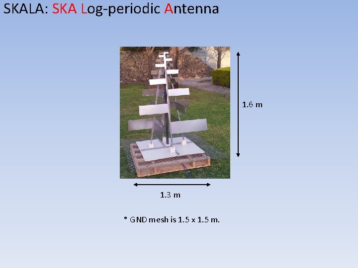 SKALA: SKA Log-periodic Antenna 1. 6 m 1. 3 m * GND mesh is