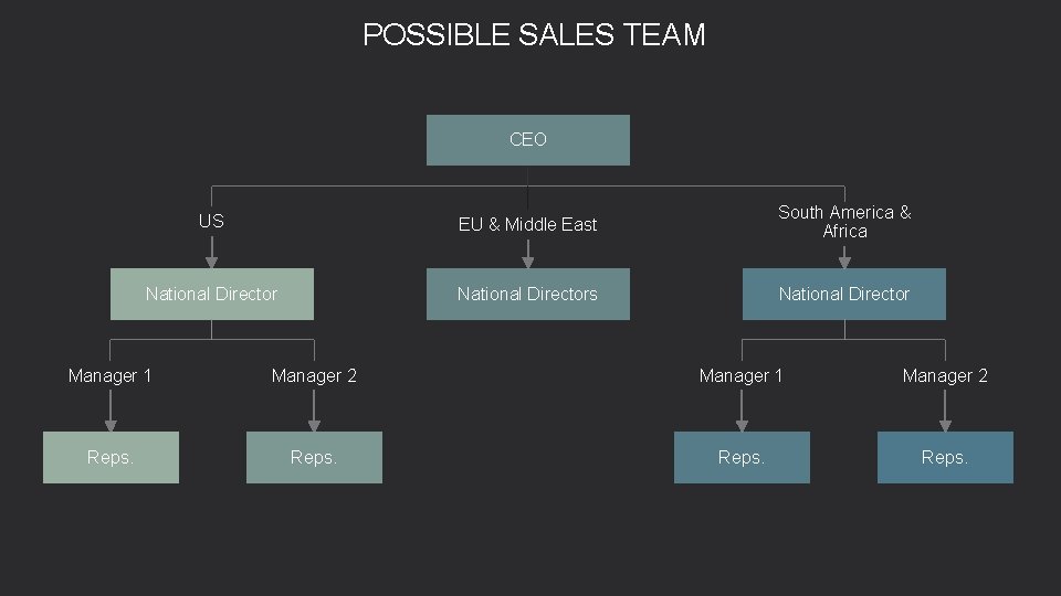 POSSIBLE SALES TEAM CEO US EU & Middle East South America & Africa National