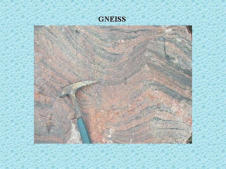 GNEISS 