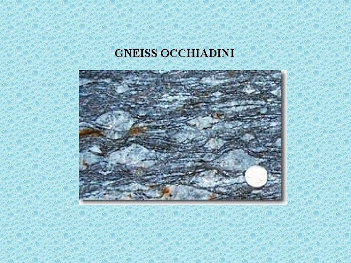 GNEISS OCCHIADINI 