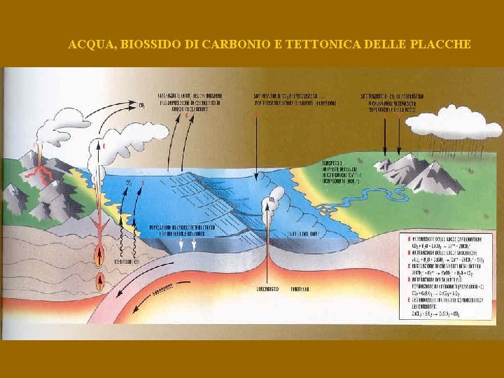 ACQUA, BIOSSIDO DI CARBONIO E TETTONICA DELLE PLACCHE 