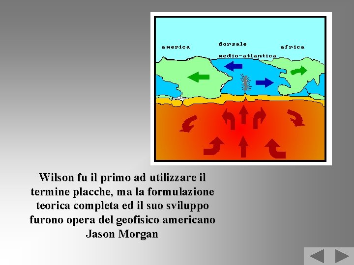 Wilson fu il primo ad utilizzare il termine placche, ma la formulazione teorica completa