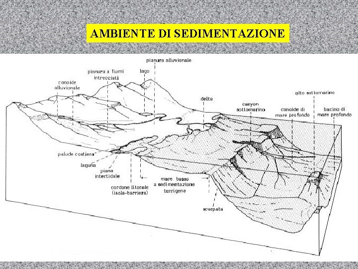 AMBIENTE DI SEDIMENTAZIONE 