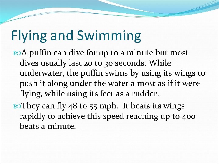 Flying and Swimming A puffin can dive for up to a minute but most