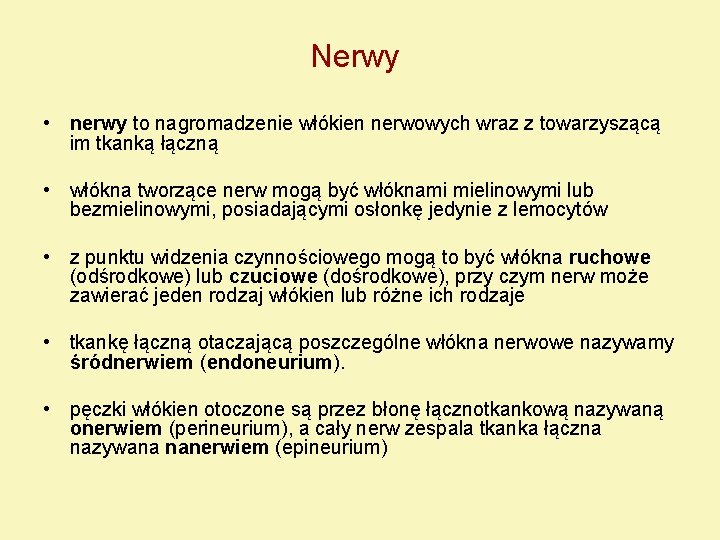 Nerwy • nerwy to nagromadzenie włókien nerwowych wraz z towarzyszącą im tkanką łączną •