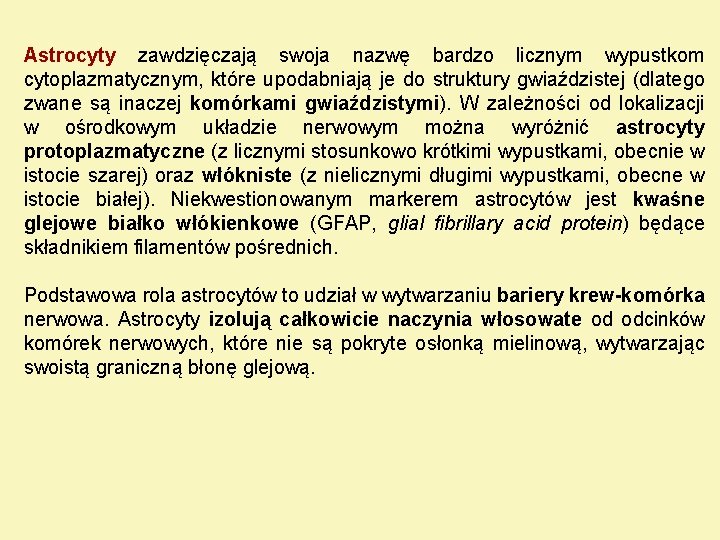 Astrocyty zawdzięczają swoja nazwę bardzo licznym wypustkom cytoplazmatycznym, które upodabniają je do struktury gwiaździstej