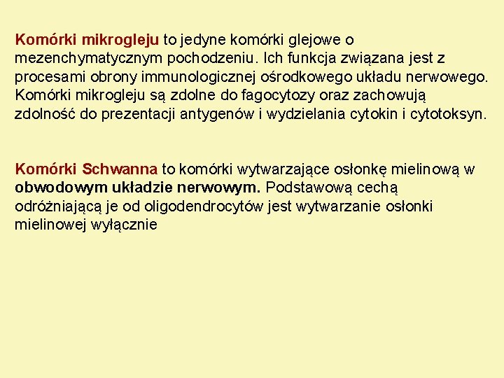 Komórki mikrogleju to jedyne komórki glejowe o mezenchymatycznym pochodzeniu. Ich funkcja związana jest z