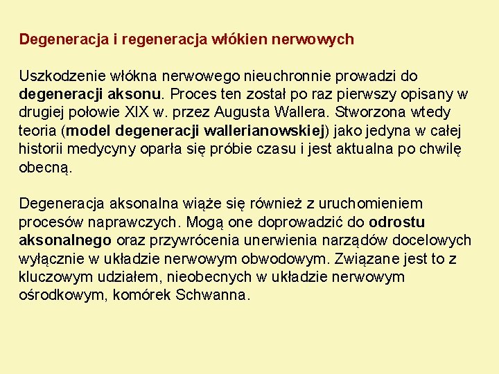 Degeneracja i regeneracja włókien nerwowych Uszkodzenie włókna nerwowego nieuchronnie prowadzi do degeneracji aksonu. Proces