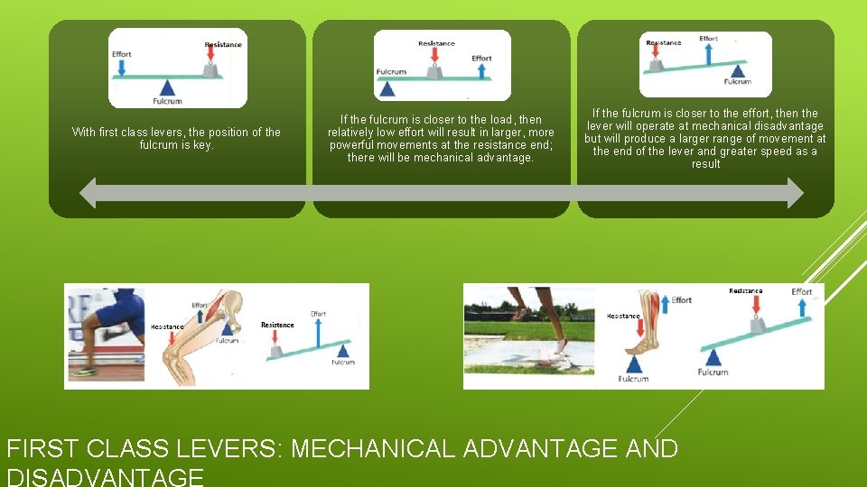 With first class levers, the position of the fulcrum is key. If the fulcrum