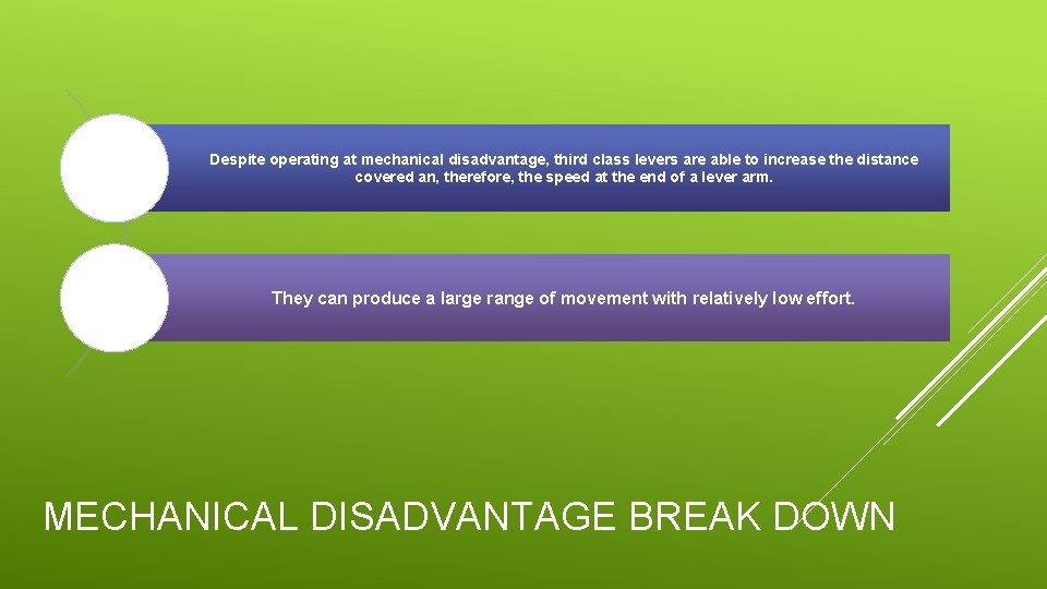 Despite operating at mechanical disadvantage, third class levers are able to increase the distance