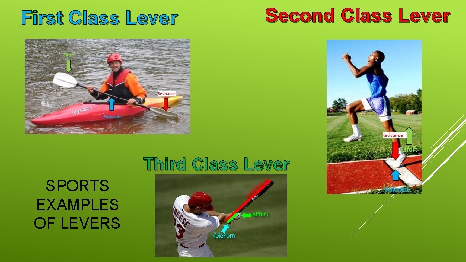First Class Lever Second Class Lever Third Class Lever SPORTS EXAMPLES OF LEVERS 