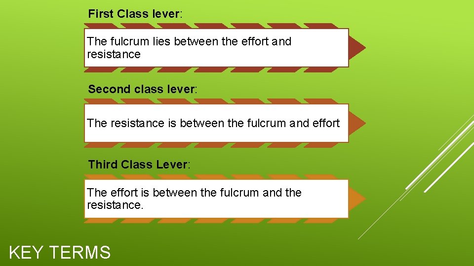 First Class lever: The fulcrum lies between the effort and resistance Second class lever: