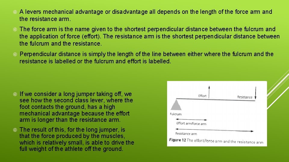  A levers mechanical advantage or disadvantage all depends on the length of the