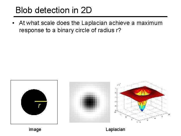 Blob detection in 2 D • At what scale does the Laplacian achieve a