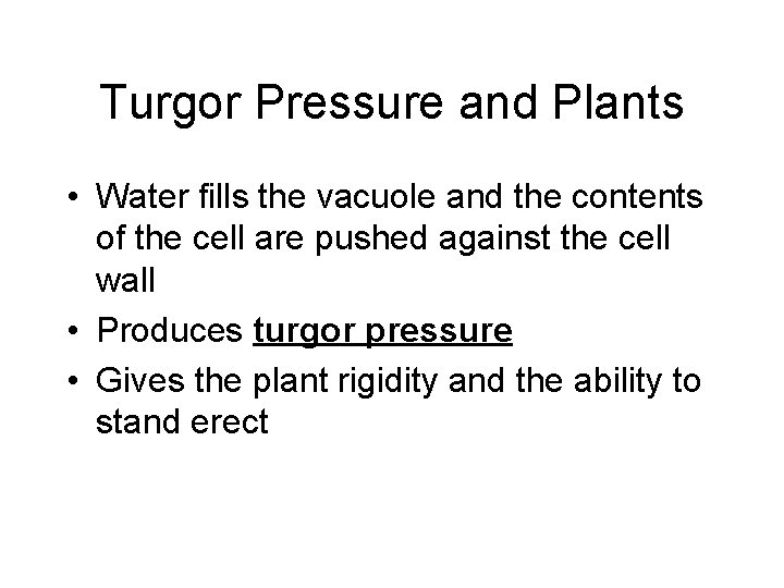 Turgor Pressure and Plants • Water fills the vacuole and the contents of the