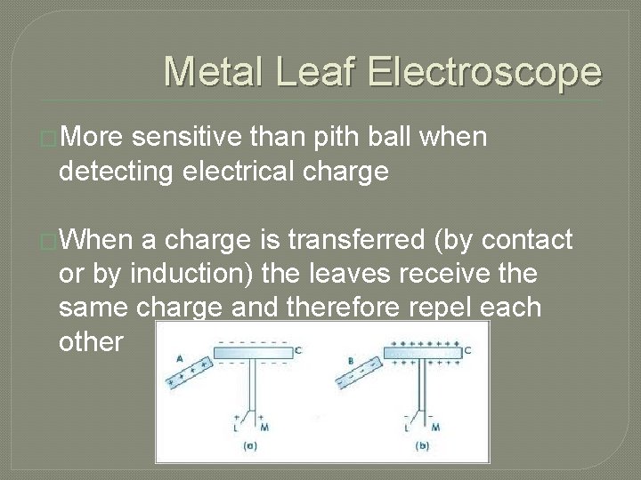 Metal Leaf Electroscope �More sensitive than pith ball when detecting electrical charge �When a
