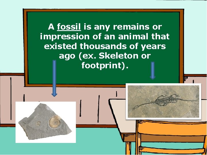 A fossil is any remains or impression of an animal that existed thousands of