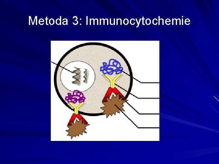 Metoda 3: Immunocytochemie 
