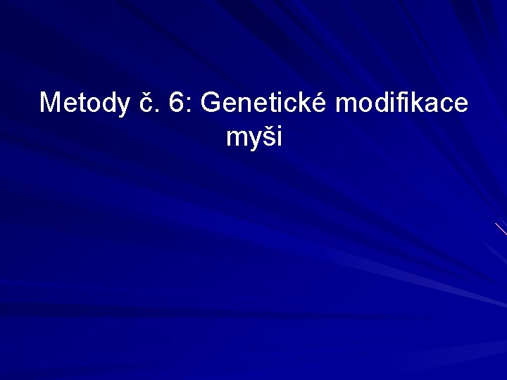 Metody č. 6: Genetické modifikace myši 