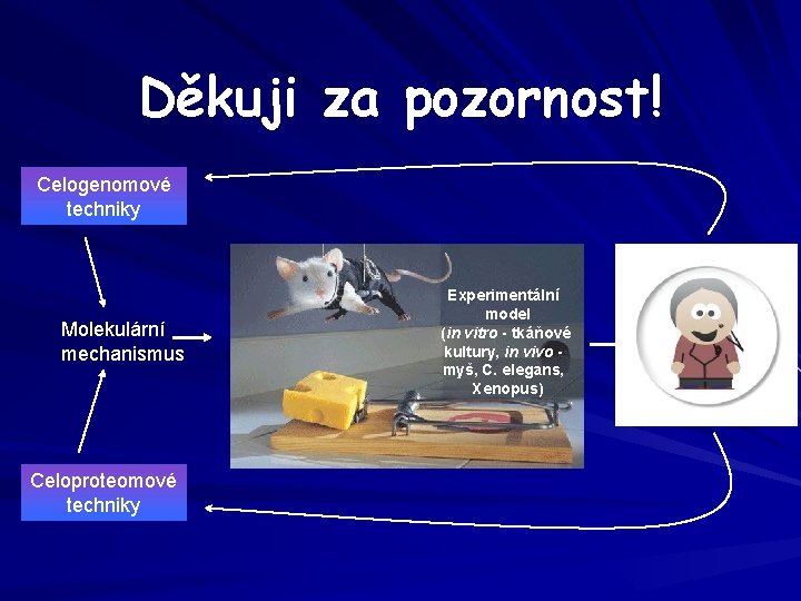 Děkuji za pozornost! Celogenomové techniky Molekulární mechanismus Experimentální model (in vitro - tkáňové kultury,