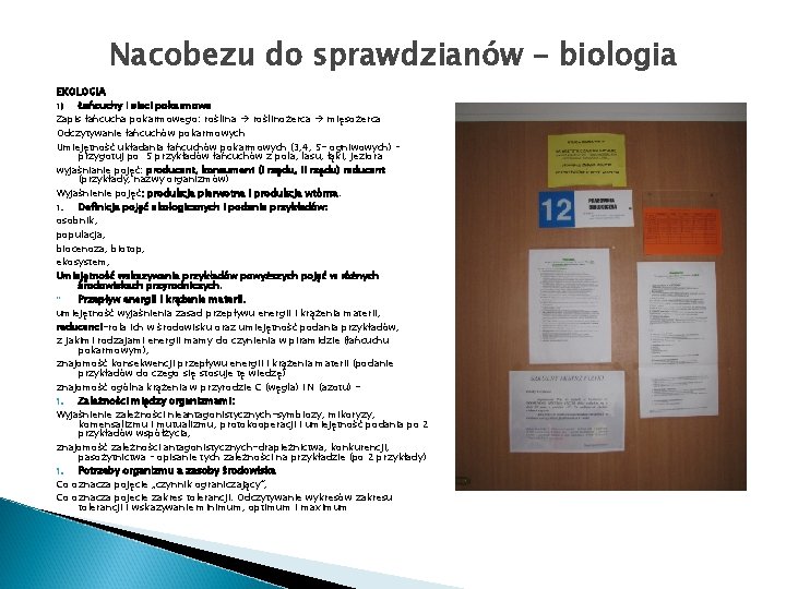 Nacobezu do sprawdzianów – biologia EKOLOGIA 1) Łańcuchy i sieci pokarmowe Zapis łańcucha pokarmowego: