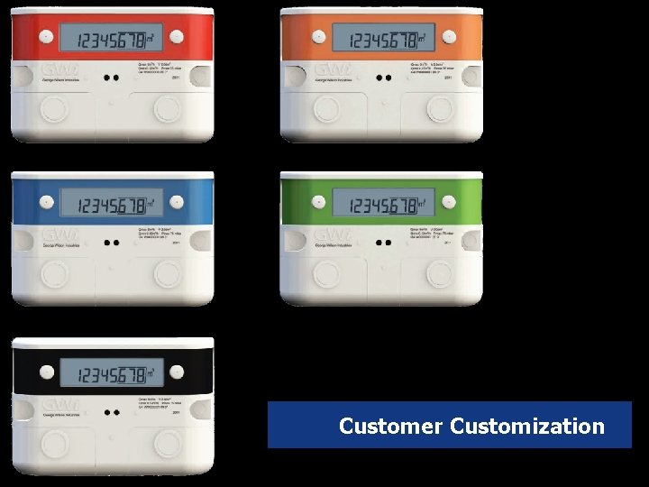 Customer Customization 