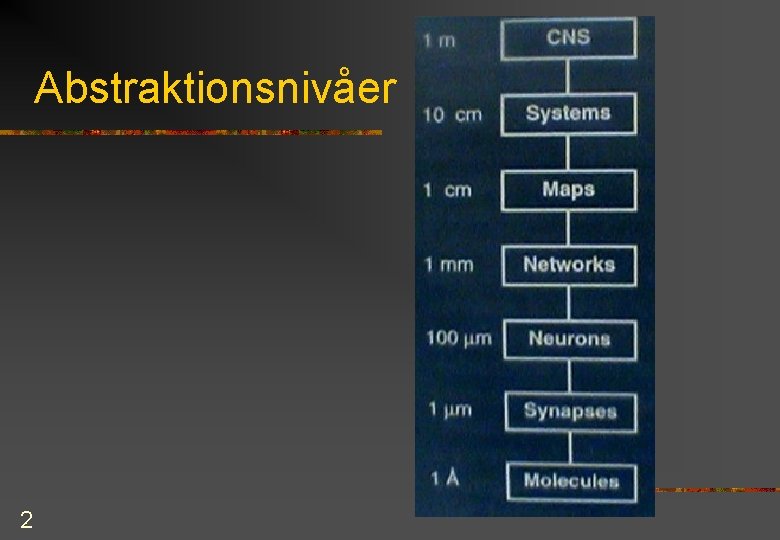 Abstraktionsnivåer 2 