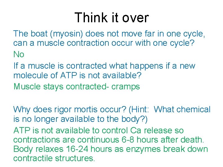 Think it over The boat (myosin) does not move far in one cycle, can