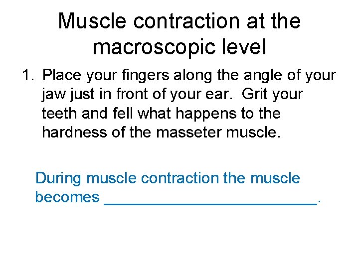 Muscle contraction at the macroscopic level 1. Place your fingers along the angle of