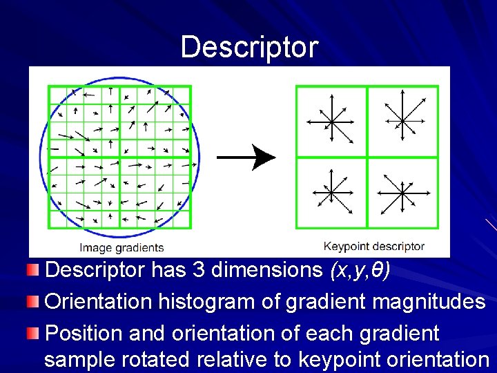 Descriptor has 3 dimensions (x, y, θ) Orientation histogram of gradient magnitudes Position and Descriptor has 3 dimensions (x, y, θ) Orientation histogram of gradient magnitudes Position and