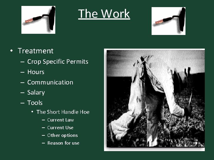 The Work • Treatment – – – Crop Specific Permits Hours Communication Salary Tools