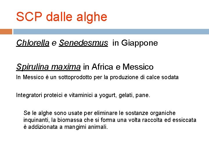 SCP dalle alghe Chlorella e Senedesmus in Giappone Spirulina maxima in Africa e Messico