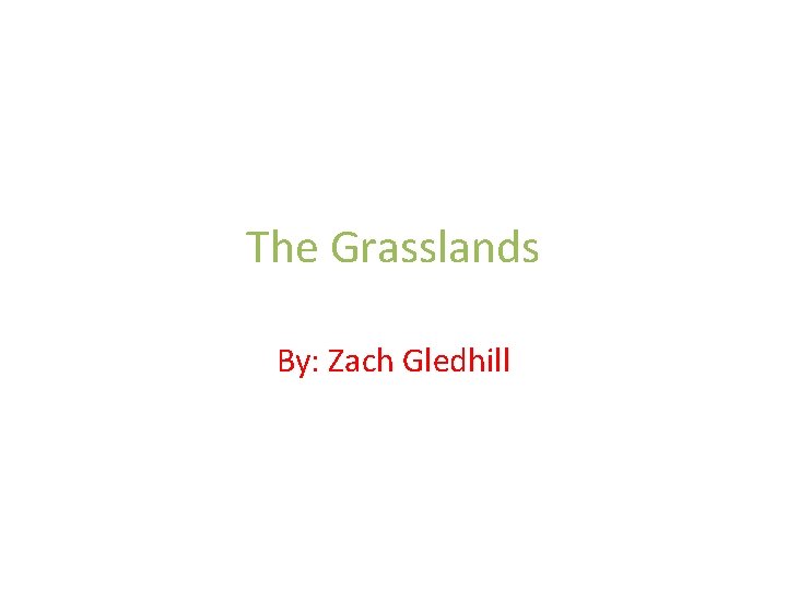 The Grasslands By: Zach Gledhill 