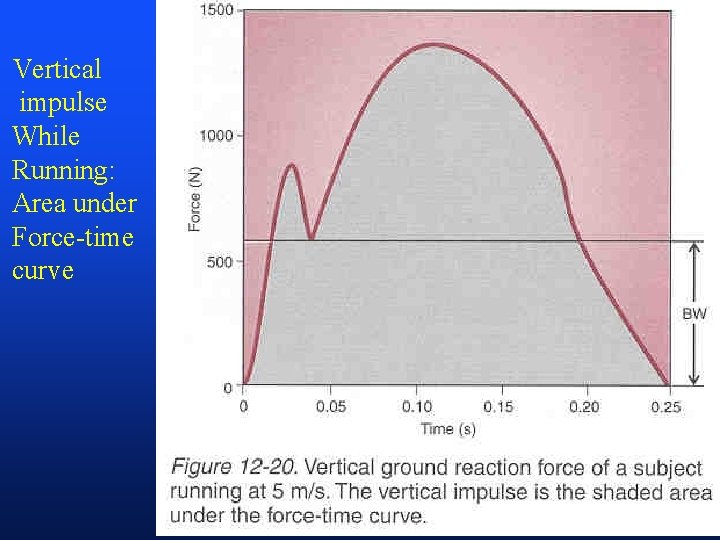 Vertical impulse While Running: Area under Force-time curve 