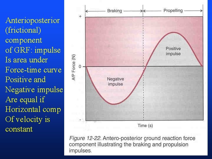 Anterioposterior (frictional) component of GRF: impulse Is area under Force-time curve Positive and Negative