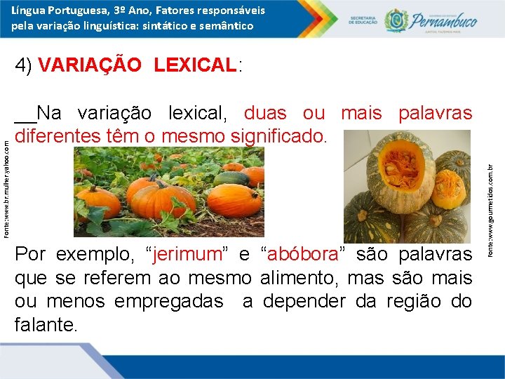 Língua Portuguesa, 3º Ano, Fatores responsáveis pela variação linguística: sintático e semântico __Na variação