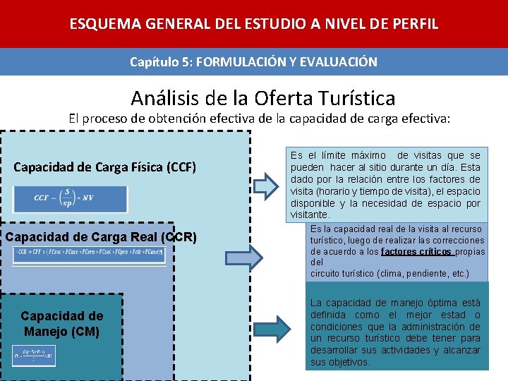 ESQUEMA GENERAL DEL ESTUDIO A NIVEL DE PERFIL Capítulo 5: FORMULACIÓN Y EVALUACIÓN Análisis